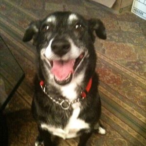 Meet your Posher, Tim